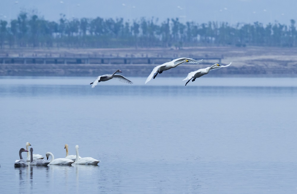 好博(中国)体育智能科技股份有限公司网站