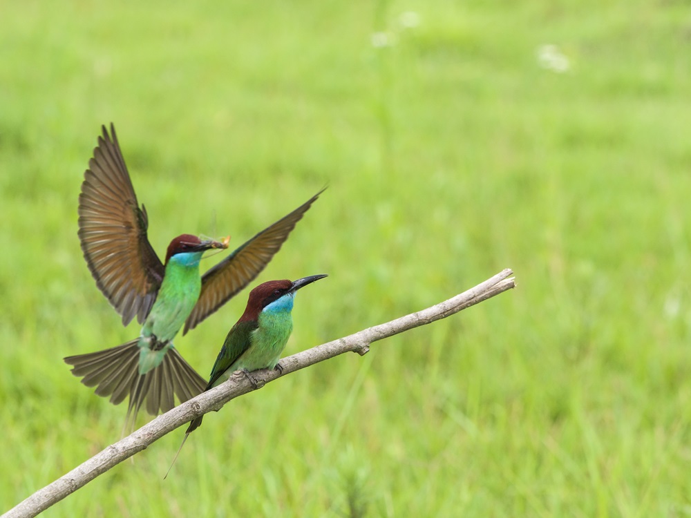好博(中国)体育智能科技股份有限公司网站